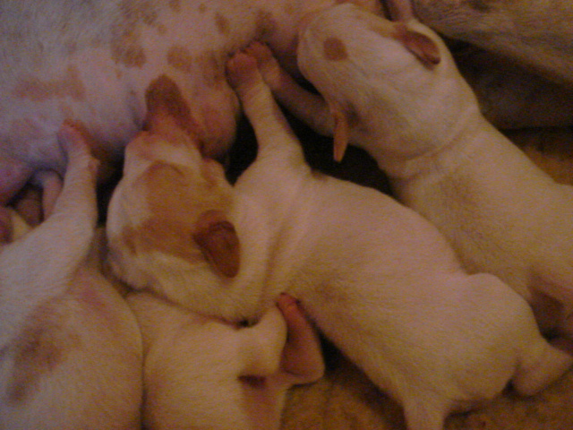 PORTEE 2010